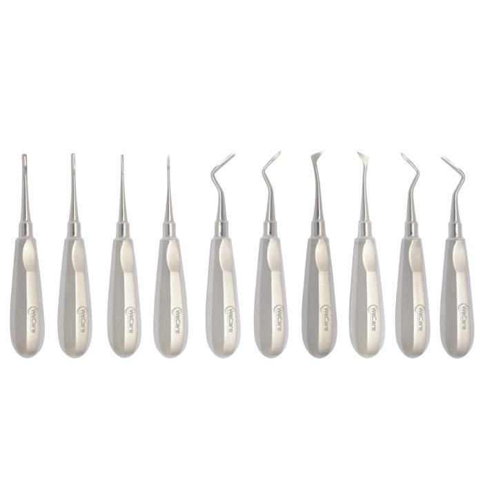 10 Pcs DENTALE LEVI PER RADICE APICALE HEIDBRINK CEYER KIT