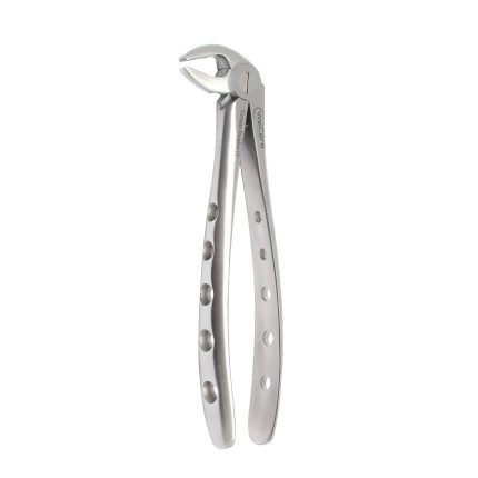 MD3 Lower incisors and canines and roots Forceps